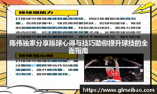 365WM完美体育官方app