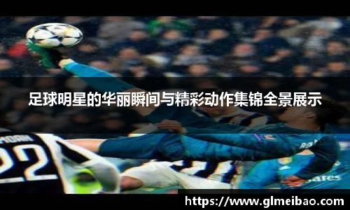 365WM完美体育官网