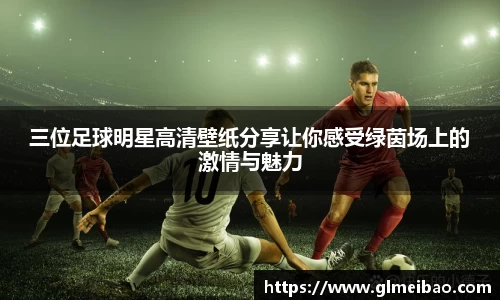 365WM完美体育官方app